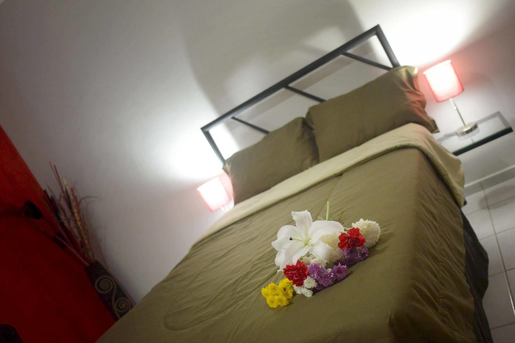 Hotel Plaza Providencia Ixtapa  외부 사진